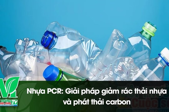 [VIDEO] Nhựa PCR: Giải pháp giảm rác thải nhựa và phát thải carbon