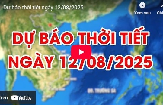 Dự báo thời tiết ngày 12/8/2025: Ngày nắng nóng, chiều tối và đêm có mưa rào