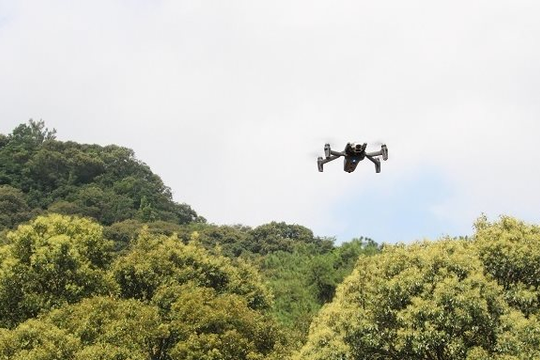 TP Huế: Dùng flycam bảo vệ "lá phổi xanh" trong mùa nắng nóng