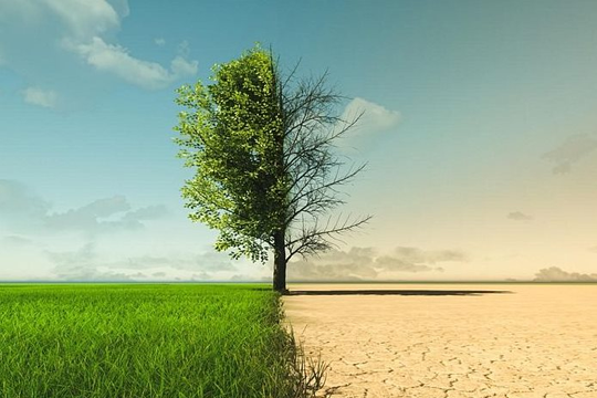 Nghiên cứu mới: Đề xuất 4 tiêu chí cho giải pháp khí hậu dựa vào thiên nhiên