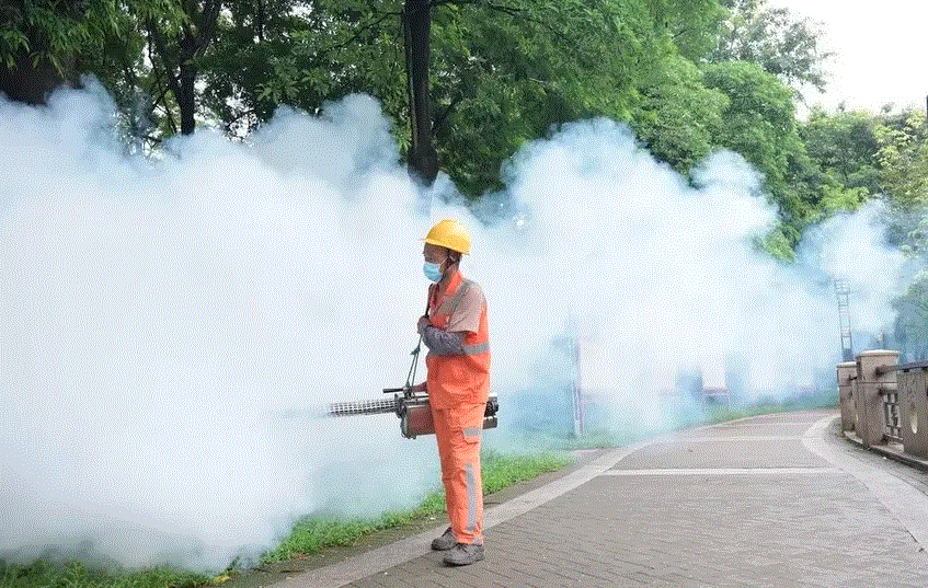 Cách phân biệt bệnh Chikungunya và sốt xuất huyết