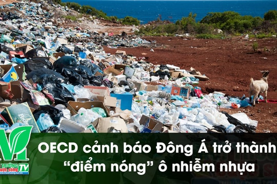 [VIDEO] OECD cảnh báo Đông Á trở thành “điểm nóng” ô nhiễm nhựa