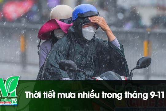 [VIDEO] Thời tiết mưa nhiều trong tháng 9 - 11