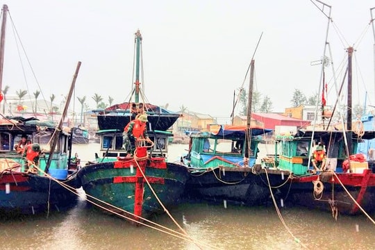 Hải Phòng cấm biển khẩn cấp ứng phó áp thấp nhiệt đới