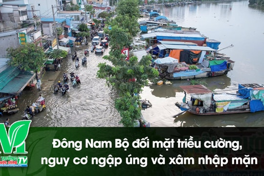 [VIDEO] Đông Nam Bộ đối mặt triều cường, nguy cơ ngập úng và xâm nhập mặn