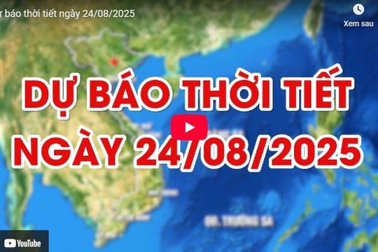 Dự báo thời tiết ngày 24/8/2025: Miền Bắc và miền Trung mưa lớn