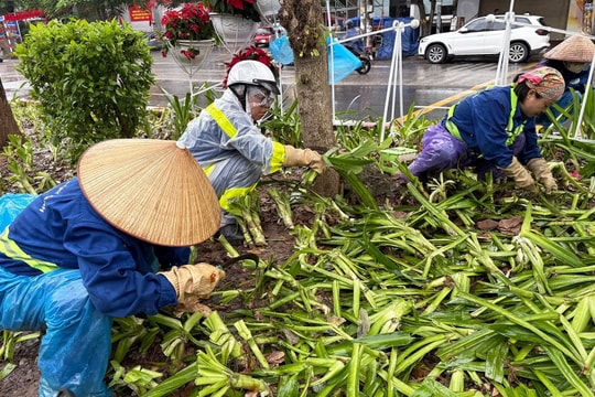 Nhiều luống cây, khóm hoa bị giẫm nát sau buổi hợp luyện diễu binh, diễu hành tối 24/8