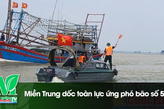 [VIDEO] Miền Trung dốc toàn lực ứng phó bão số 5