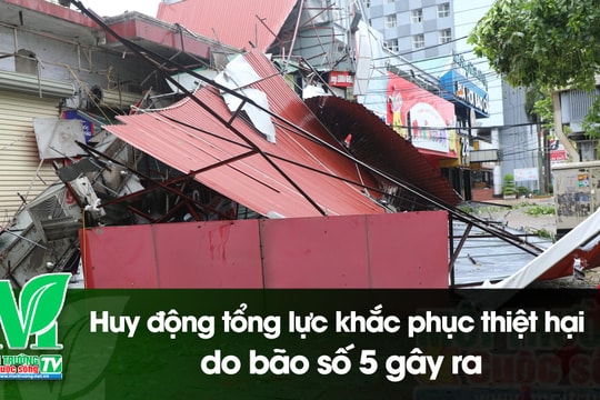 [VIDEO] Huy động tổng lực khắc phục thiệt hại do bão số 5 gây ra