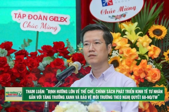 [VIDEO] Tham luận chính sách phát triển kinh tế tư nhân gắn với tăng trưởng xanh và BVMT Nghị quyết 68-NQ/TW