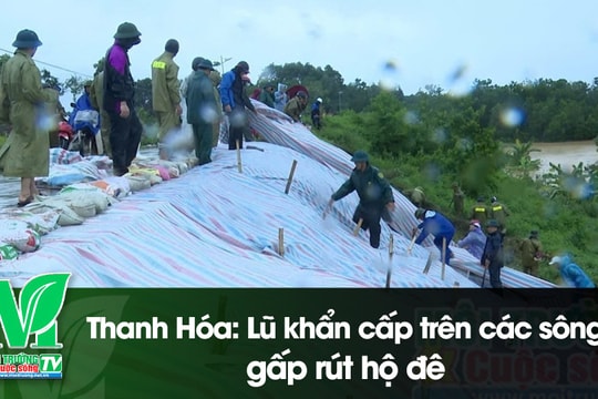 [VIDEO] Thanh Hóa: Lũ khẩn cấp trên các sông, gấp rút hộ đê