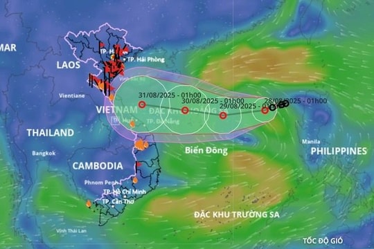 Áp thấp nhiệt đới giật cấp 8 trên Biển Đông, biển động mạnh