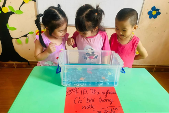 TP. Hồ Chí Minh: Hơn 92.000 trẻ mầm non con công nhân được tăng trợ cấp học phí
