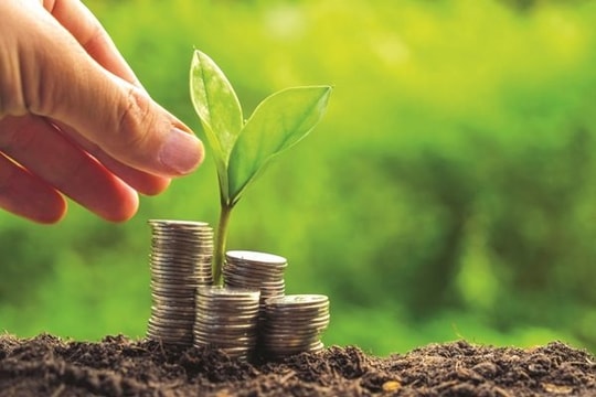 Khó khăn về vốn và nhân lực, 90% doanh nghiệp chưa sẵn sàng chuyển đổi xanh