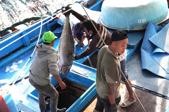Khánh Hòa: Phát động đợt thi đua cao điểm chống IUU