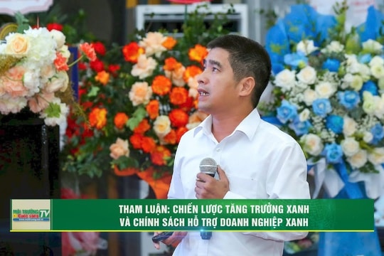 [VIDEO] Tham luận "Chiến lược tăng trưởng xanh và chính sách hỗ trợ doanh nghiệp xanh"
