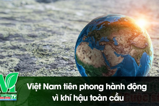 [VIDEO] Việt Nam tiên phong hành động vì khí hậu toàn cầu