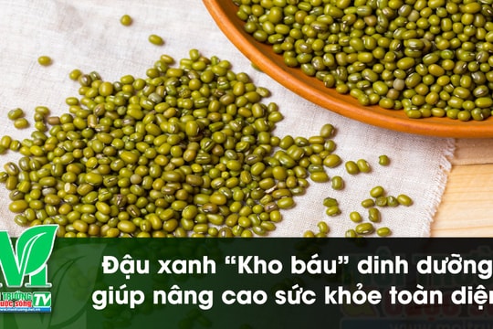[VIDEO] Đậu xanh – “Kho báu” dinh dưỡng giúp nâng cao sức khỏe toàn diện