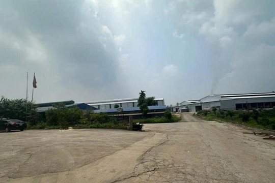 Phú Thọ: Hợp tác xã bị phạt 320 triệu đồng vì không có giấy phép môi trường