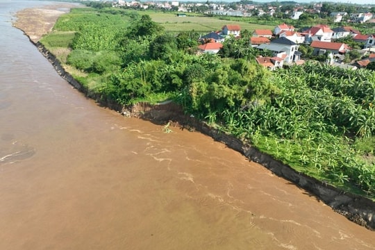 Phú Thọ: Khẩn cấp ứng phó sạt lở, vỡ đê Hữu Thao đe dọa hàng chục hộ dân xã Tam Nông