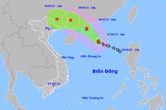 Tin mới nhất về cơn bão số 7 Tapah: Giật cấp 11, di chuyển theo hướng Tây Bắc