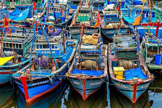 Các địa phương chủ động ứng phó bão số 7 Tapah