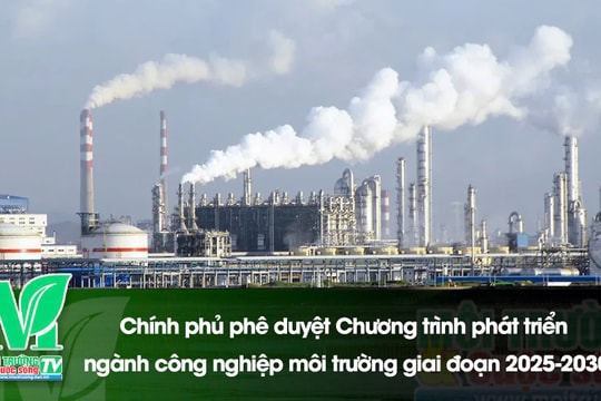 [VIDEO] Chính phủ phê duyệt Chương trình phát triển ngành công nghiệp môi trường giai đoạn 2025-2030