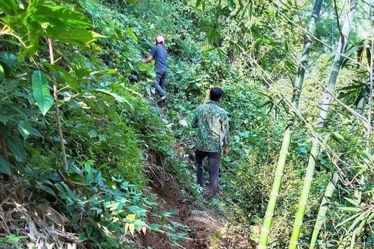 Nghệ An sơ tán khẩn cấp người dân bản Lở ra khỏi khu đồi có vết nứt lớn