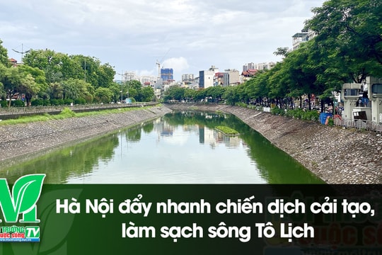 [VIDEO] Hà Nội đẩy nhanh chiến dịch cải tạo, làm sạch sông Tô Lịch