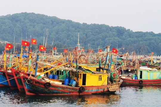 Quảng Ninh ngừng cấp phép tàu thuyền ra khơi do ảnh hưởng bão số 7