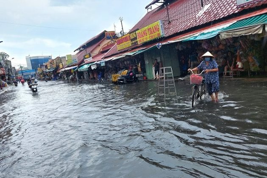 TP.HCM xây dựng đề án xử lý các điểm ngập