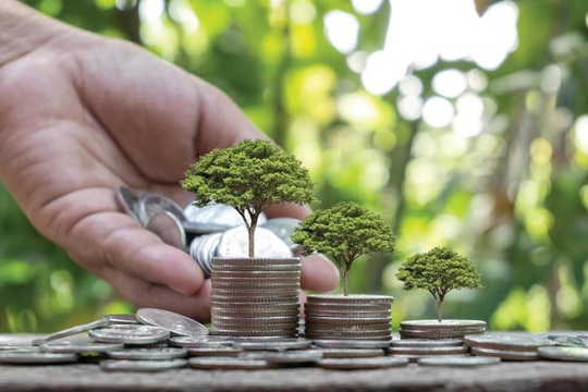Tài chính khí hậu – Trụ cột giúp các nền kinh tế xanh tăng tốc