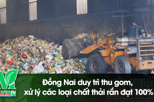 [VIDEO] Đồng Nai duy trì thu gom, xử lý các loại chất thải rắn đạt 100%