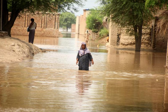 Lũ lụt tại Punjab khiến gần 100 người thiệt mạng, hàng triệu người chịu ảnh hưởng