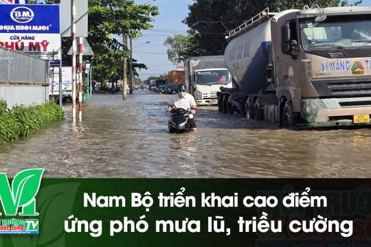 [VIDEO] Nam Bộ triển khai cao điểm ứng phó mưa lũ, triều cường