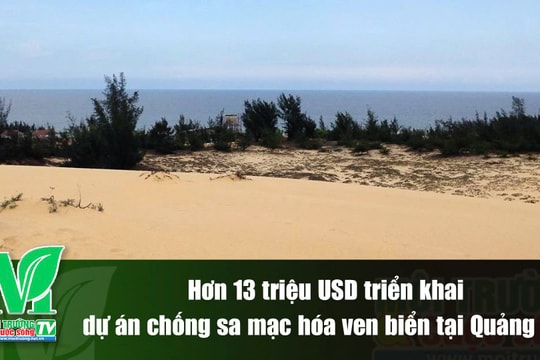 [VIDEO] Hơn 13 triệu USD triển khai dự án chống sa mạc hóa ven biển tại Quảng Trị