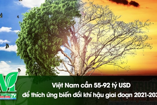 [VIDEO] Việt Nam cần 55-92 tỷ USD để thích ứng biến đổi khí hậu giai đoạn 2021-2030