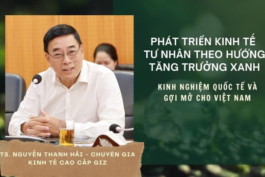Phát triển kinh tế tư nhân theo hướng tăng trưởng xanh: Kinh nghiệm quốc tế và gợi mở cho Việt Nam