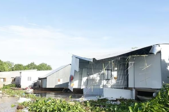 Đồng Tháp: Ảnh hưởng của mưa lớn, 6 căn nhà bị sạt lở xuống sông Tiền
