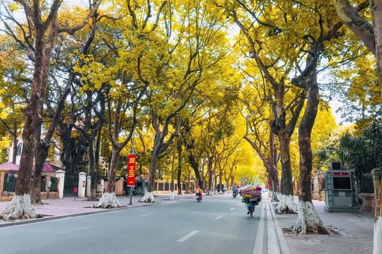 Dự báo thời tiết Hà Nội ngày 21/9/2025: Ngày nắng, chiều tối mưa to