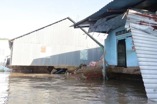 Đồng Tháp khẩn trương ứng phó sạt lở nghiêm trọng bờ sông Tiền