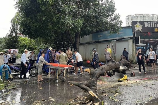 Hà Nội khuyến cáo người dân hạn chế ra đường khi bão Ragasa đổ bộ