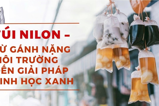 Chuyên đề: Túi nilon – từ gánh nặng môi trường đến giải pháp sinh học xanh