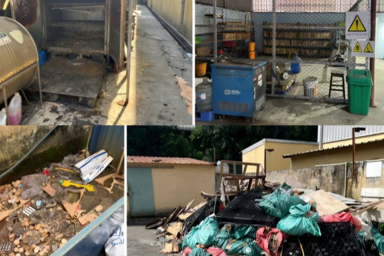 Hải Phòng: Vi phạm trong lĩnh vực môi trường, 3 doanh nghiệp bị xử phạt