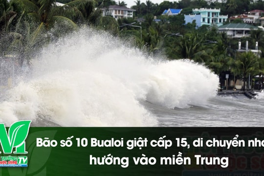 [VIDEO] Bão số 10 Bualoi giật cấp 15, di chuyển nhanh hướng vào miền Trung