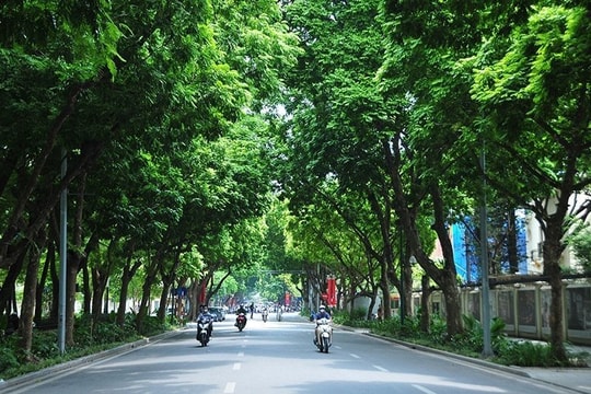 Dự báo thời tiết Hà Nội ngày 02/10/2025: Ngày nắng, đêm có mưa dông