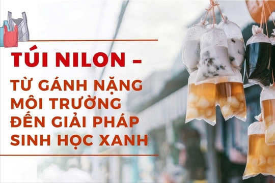 Chuyên đề: Túi nilon – từ gánh nặng môi trường đến giải pháp sinh học xanh