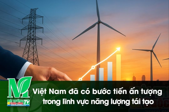 [VIDEO] Việt Nam đã có bước tiến ấn tượng trong lĩnh vực năng lượng tái tạo