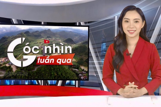 [Góc nhìn tuần qua]: Túi nilon - Từ gánh nặng môi trường đến “giải pháp sinh học xanh”