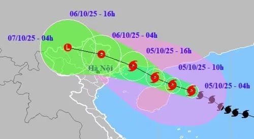 Bão số 11 Matmo giật cấp 15, hướng vào Quảng Ninh - Hải Phòng